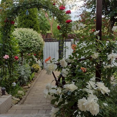 Casa Mamei 수체아바 외부 사진