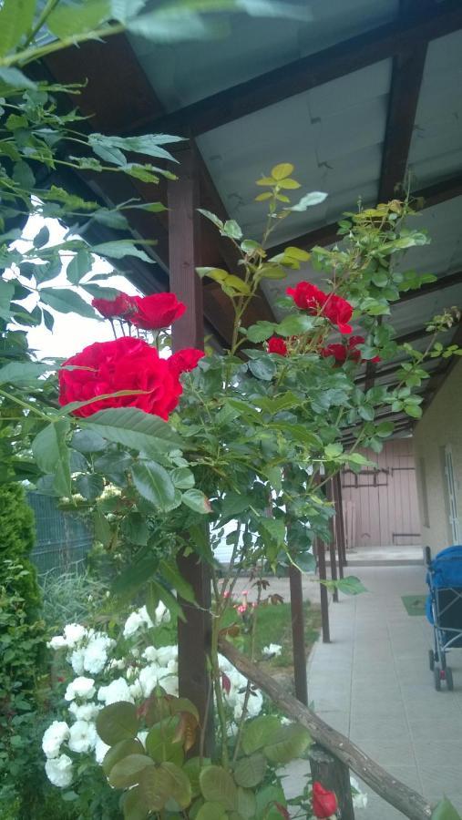 Casa Mamei 수체아바 외부 사진