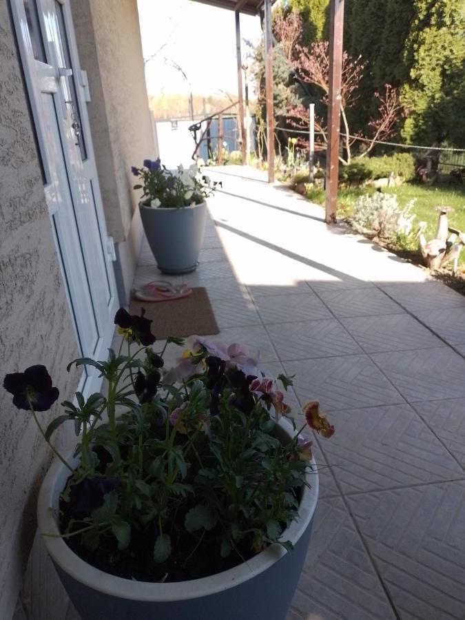 Casa Mamei 수체아바 외부 사진
